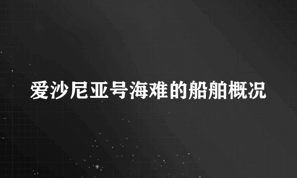 爱沙尼亚号海难的船舶概况