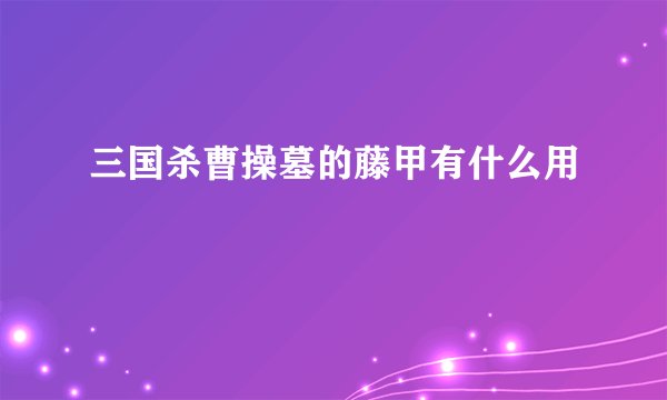 三国杀曹操墓的藤甲有什么用