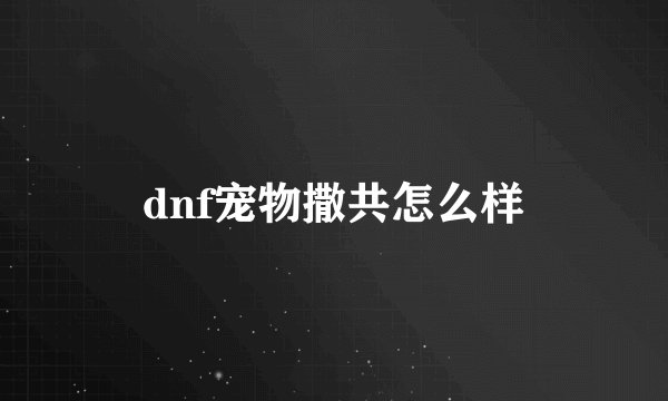 dnf宠物撒共怎么样