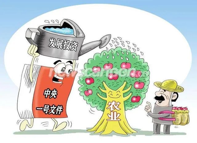 冯佳文 寿光