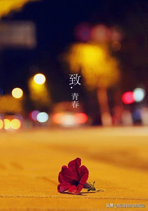 对于终将逝去的青春,你爱的那个少年还在你身边吗?