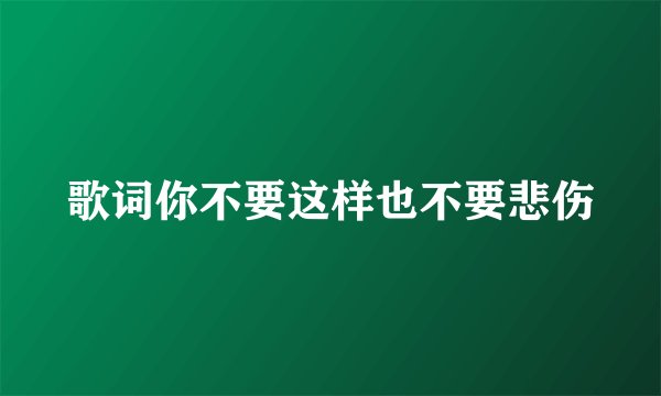 歌词你不要这样也不要悲伤