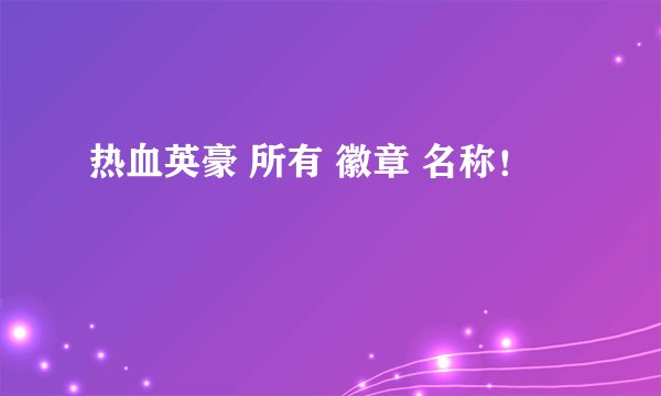 热血英豪 所有 徽章 名称！