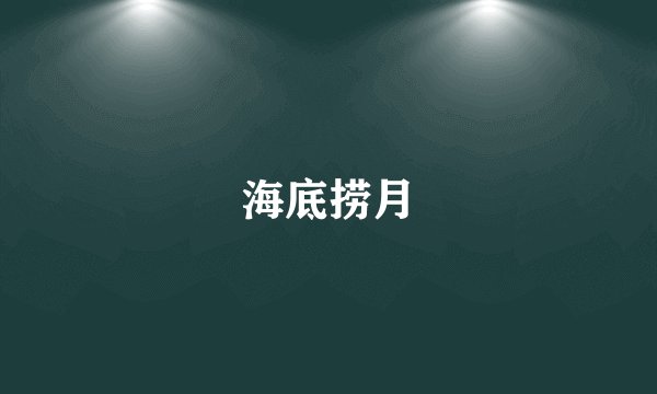 海底捞月