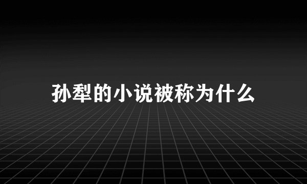 孙犁的小说被称为什么