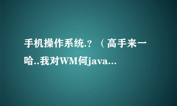 手机操作系统.？（高手来一哈..我对WM何java了解不多，最好讲的透彻一下..！）