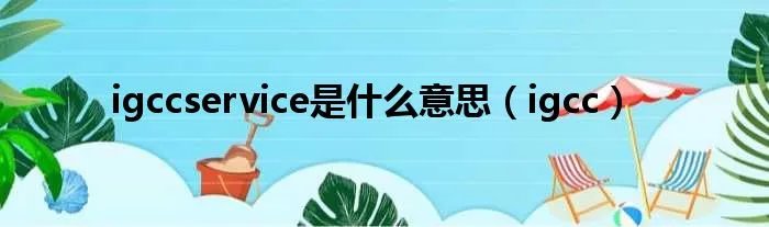 igccservice是什么意思(igcc)