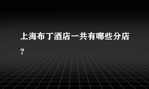 上海布丁酒店一共有哪些分店?
