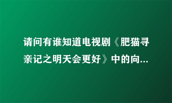 请问有谁知道电视剧《肥猫寻亲记之明天会更好》中的向晴是谁饰演的啊?