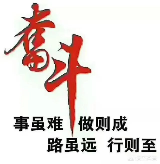 一年求职人有多少