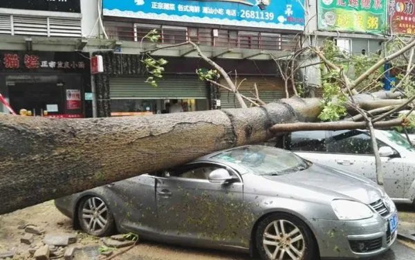 台风掀起12米狂浪,对涉及地区有何影响?