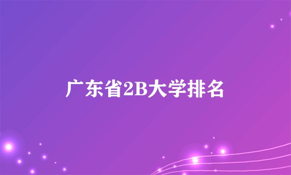 广东省2B大学排名
