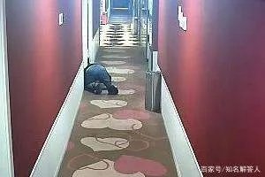 已婚男在宾馆隔门趴地偷听,男子:为满足心理需要,你还敢住宾馆吗?