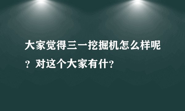 大家觉得三一挖掘机怎么样呢？对这个大家有什？