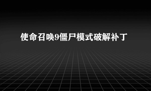使命召唤9僵尸模式破解补丁