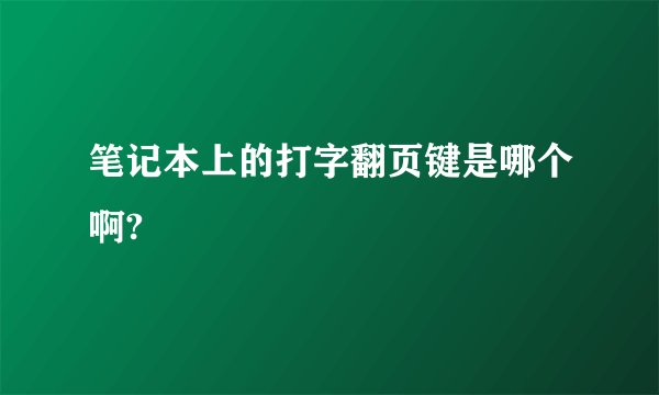 笔记本上的打字翻页键是哪个啊?