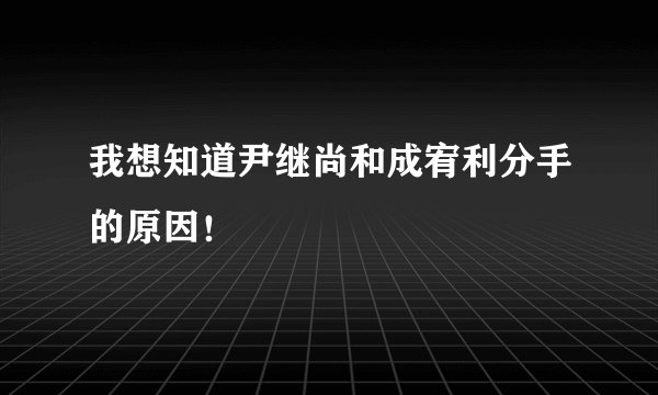 我想知道尹继尚和成宥利分手的原因！