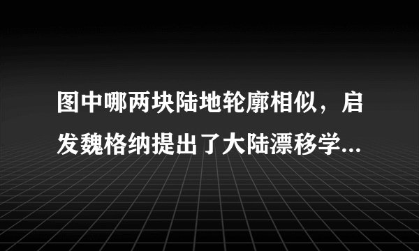 图中哪两块陆地轮廓相似，启发魏格纳提出了大陆漂移学说（　　）A. ①②B. ③④C. ②③D. ②④