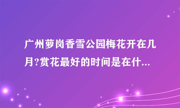 广州萝岗香雪公园梅花开在几月?赏花最好的时间是在什么时候呢?