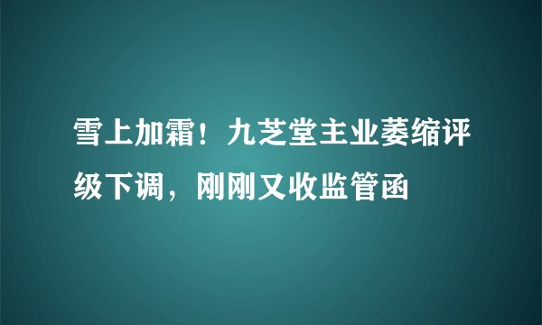 雪上加霜！九芝堂主业萎缩评级下调，刚刚又收监管函