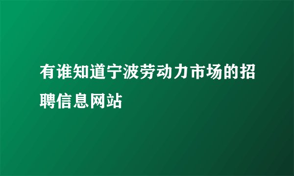 有谁知道宁波劳动力市场的招聘信息网站
