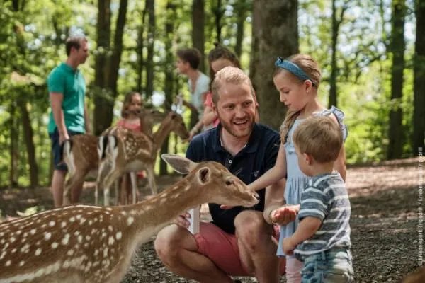 去德国旅游大概花多少钱 – 五分旅游网