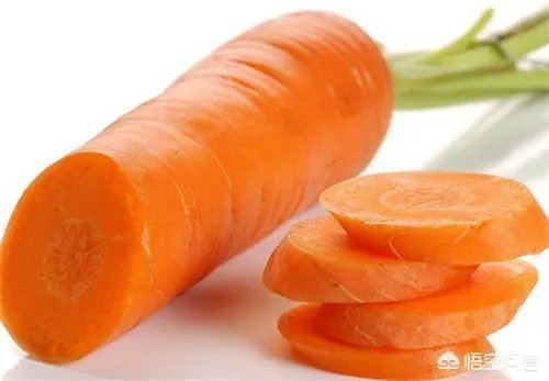 狗狗有耳螨怎么处理?给狗狗滴耳朵很反抗?