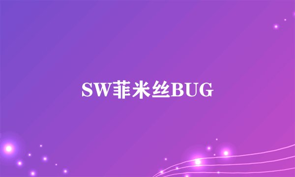 SW菲米丝BUG