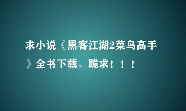 求小说《黑客江湖2菜鸟高手》全书下载。跪求！！！