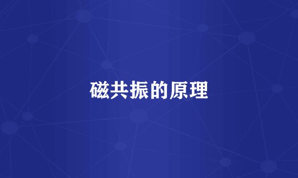 磁共振的原理