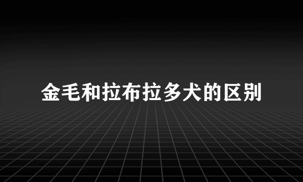 金毛和拉布拉多犬的区别