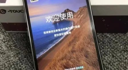 中国十大山寨手机品牌