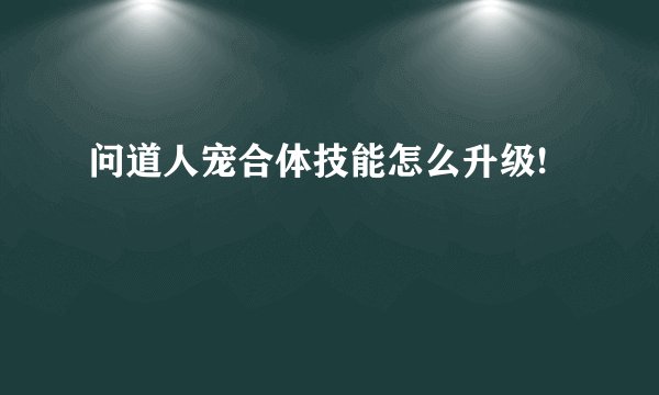 问道人宠合体技能怎么升级!