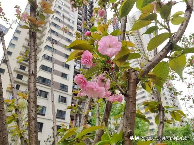 疫情会在四月份彻底结束吗?