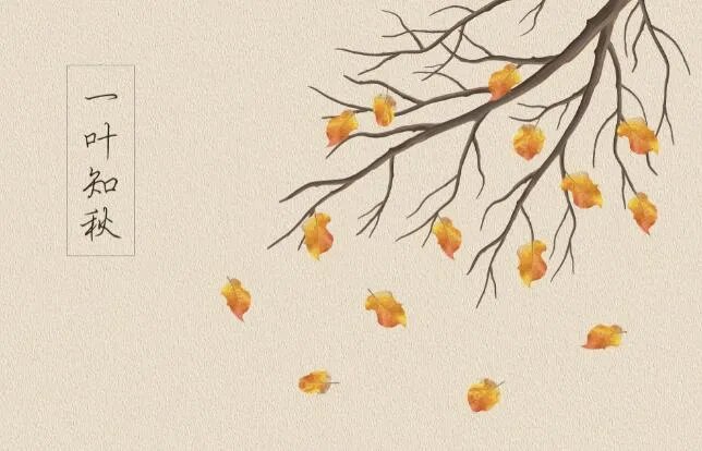 24节气之秋分简笔画 秋分主题简笔画图片大全