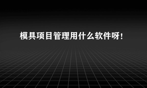 模具项目管理用什么软件呀！