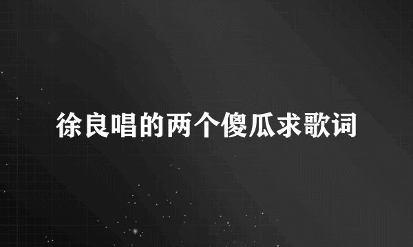 徐良唱的两个傻瓜求歌词