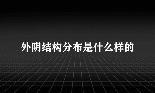 外阴结构分布是什么样的