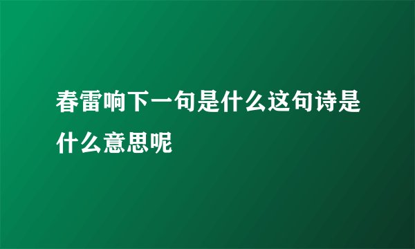 春雷响下一句是什么这句诗是什么意思呢