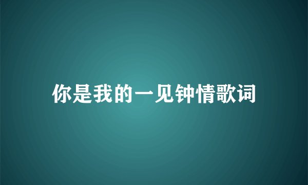 你是我的一见钟情歌词