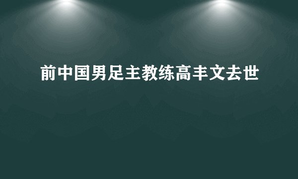 前中国男足主教练高丰文去世