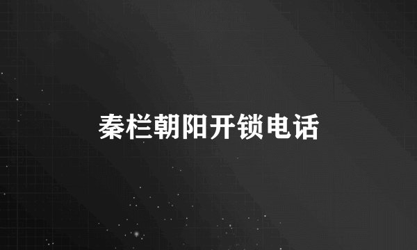 秦栏朝阳开锁电话