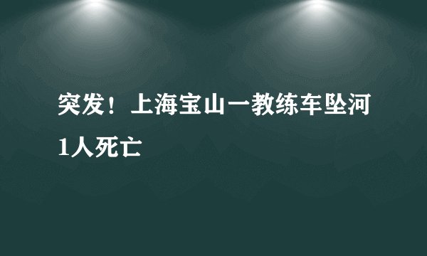 突发！上海宝山一教练车坠河1人死亡