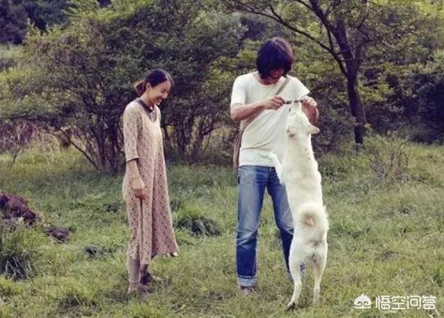 为什么李孝利炫富不招人讨厌?