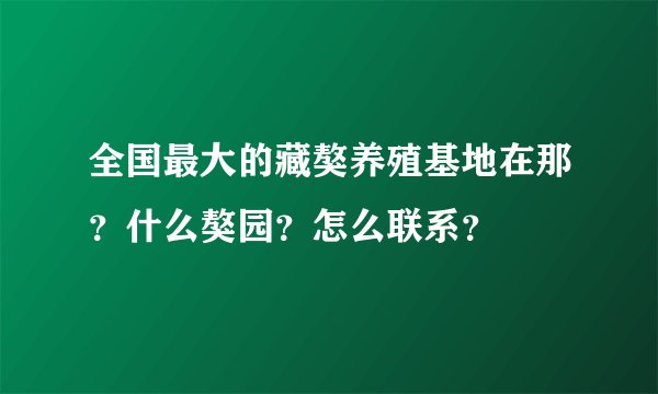 全国最大的藏獒养殖基地在那?什么獒园?怎么联系?