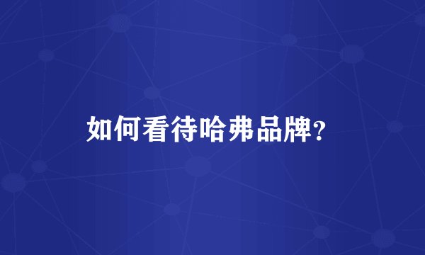如何看待哈弗品牌？