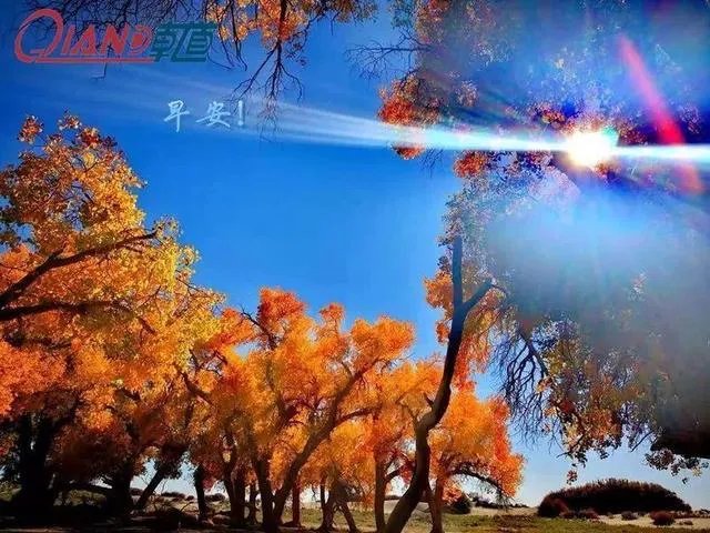 韦唯演唱的《爱的奉献》和陈红演唱的《感恩的心》哪首歌曲更具有感染力、更有正能量？为什么？