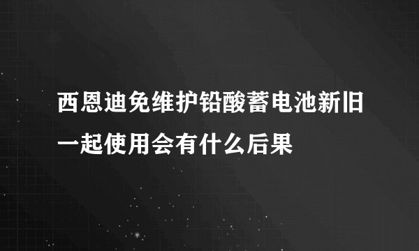 西恩迪免维护铅酸蓄电池新旧一起使用会有什么后果