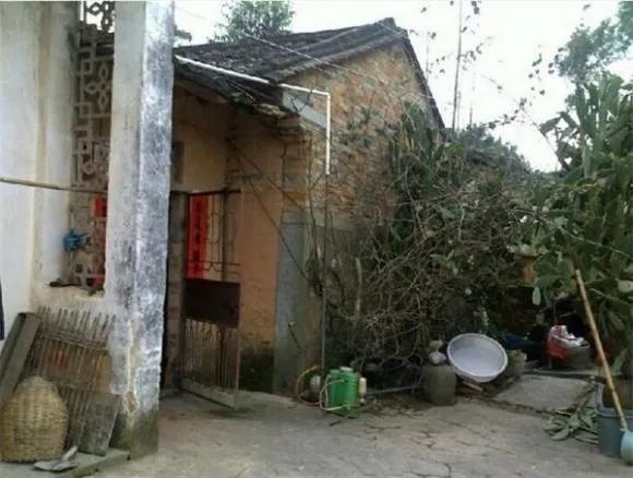 现在买房子太贵了,农村40万就能建“豪华”独栋别墅?是真的吗?