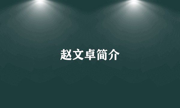 赵文卓简介